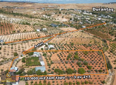 Şahinbey Durantaş 3 Adet 2+1 Ev, Kuyu,elektirik,zeytin Ceviz Mey