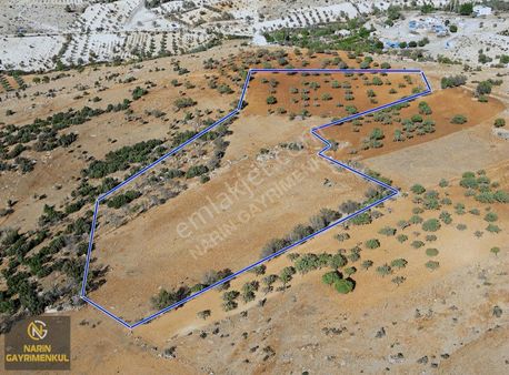 Polateli Eğlen Köyü 100 Fıstık , Yol, Manzara, Elektirik Yakın