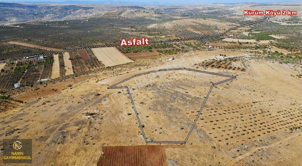 Şahinbey Kürüm Çiftliğe Hayvancılığa Bağevine Ağaç Ekimine Uygun