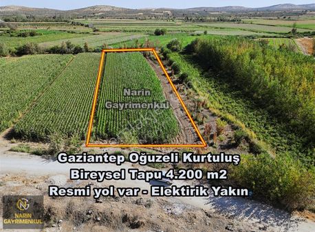 Oğuzeli Kurtuluşta Resmi Yolu Var Elektrik Yakın Bağevine Uygun