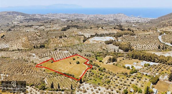 Kuşadasında Deniz Manzaralı Satılık Tarla