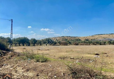 Günay Emlak'tan Torbalı Taşkeşik Mahallesi Köy Merkezi Yerleşiminin Yanı Satılık 10.222 M2 Tarla