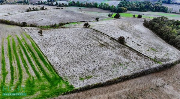 Tekirdağ'da Satılık Tarla