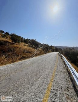 Ören Dereköy Ana Yola Sıfır Satılık Tarla