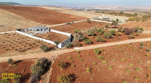 Suboğazı Sınır Resmi Yola Cepheli Şehre 10 Dk Bağevilik Fırsat