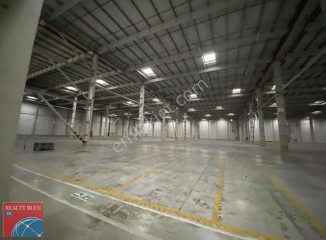 Gül Demirelden Adanada Kiralık 5.000 M² Depo