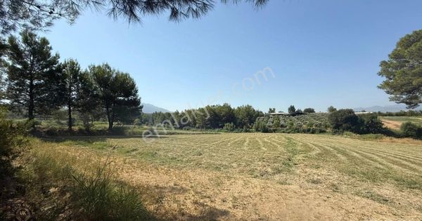 Uğur'dan Seydikemer Korubükünde Satılık Büyük Araziler