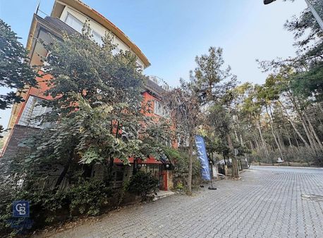 Kınıklı Mh. Çamlık 1+0 1+1 2+1 Kiralık Daireler