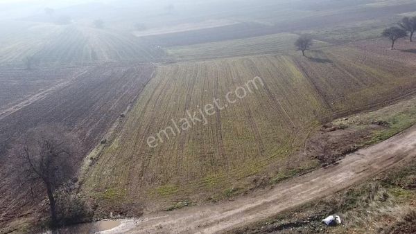 Kepsut Asfaltına Cepheli Hobi Bahçesi!