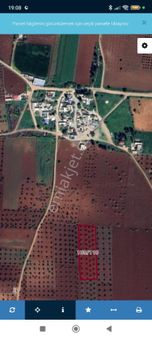 Kilis Akçabağlar'da Satılık Zeytinlik