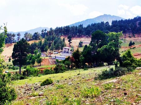 Pozantı Kar Emlaktan Yeni Konacık Bozkırlı Mevkiinde 400 M2 Arsa