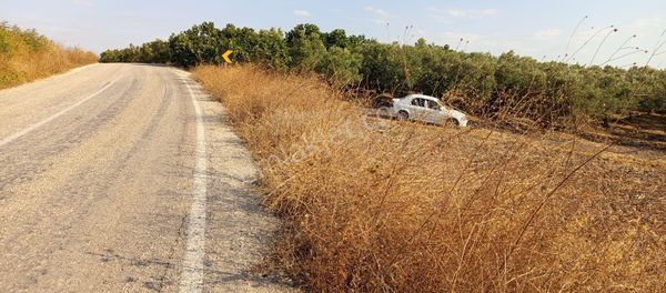 Bursa Mudanya Hançerli Mahallesi Satılık 7.900 Mt Ana Yola Cepheli Müstakil Tapu Tarla