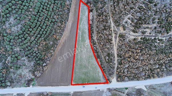 Hürriyet Köy Konut Alanı Arkası Asfalta Cephe Satılık Düz Yer