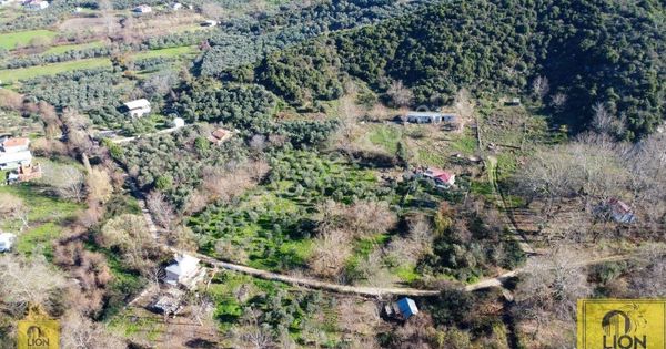 Erdek Doğanlar Mahallesinde 3830 M² Yola Cephe Satılık Zeytinlik