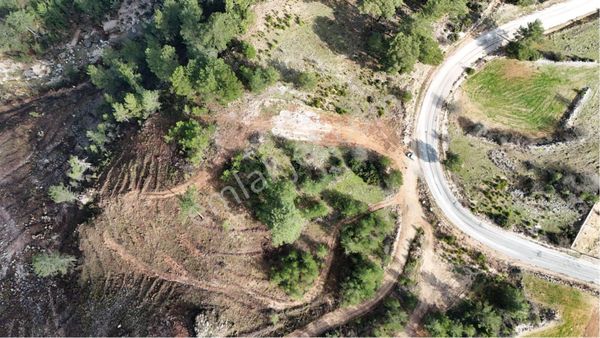 Muğla Menteşe Denizova Mah. Satılık 2.961 M2 Tarla