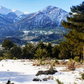 Pozantı Kar Emlaktan Gökbez Yaylasında 400 M2 Yaylalık Satılık Arsa