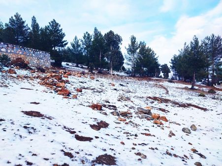 Pozantı Kar Emlaktan Yeni Konacık Efes Sitesinde 370 M2 Arsa