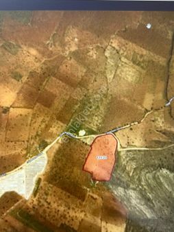 Gaziantep Şehıtkamıl Tokdemir Satılık Tarla