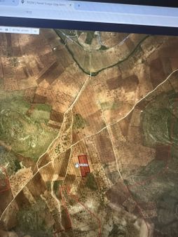 Gaziantep Şehıtkamıl Tuğlu’da Satılık Fıstık Fidanlığı