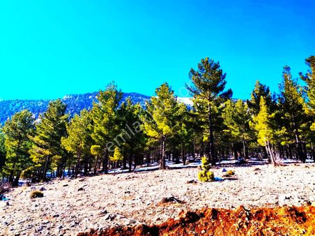 Pozantı Kar Emlaktan Yeni Konacık Efes Sitesinde 400 M2 Arsa