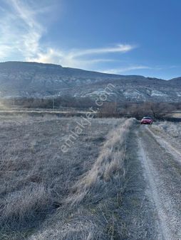 Karain Ürgüp Köyü 2 Tapu Yol Su Elektrik Var