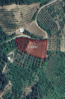 Roma' Dan Doğanyurdunda Yola Cephe Satılık Tarla