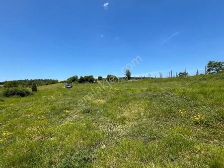 Kandıra Akçaova Mah Satılık Uygun Fiyata Tarım Arazisi Tarla