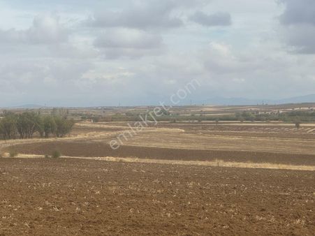Konya Beyşehirde 6328 M2 Tarla Satılık