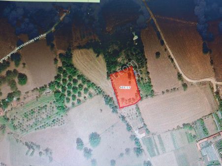 Klass Emlaktan Gazimahbup Mahallesinde Satılık Tarla