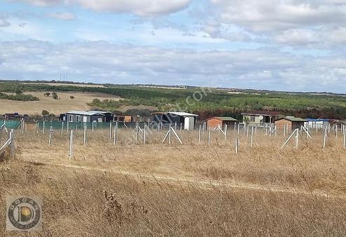 İstanbul Silivride Acil Satılık İmarlı İfrazlı 250m² Son Arsalar