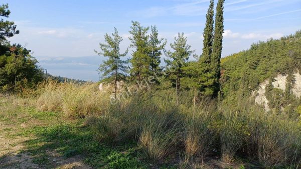 Kocaeli Gölcük Ulaşlıda,deniz Manzaralı,müstakil Tapulu, Satılık Arazi