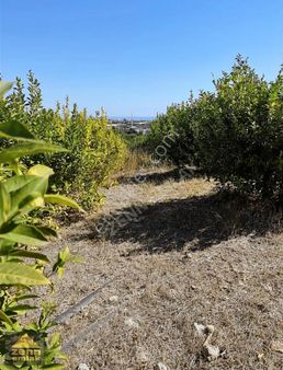 Mersin Erdemli De Satılık 1800m2 Bahce