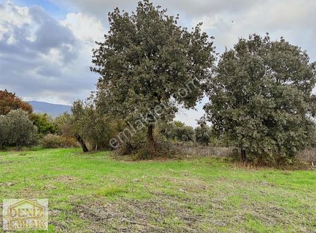 İhtiyaçtan Acil Satılık 134m2 Tarla. Menemen Haykıran