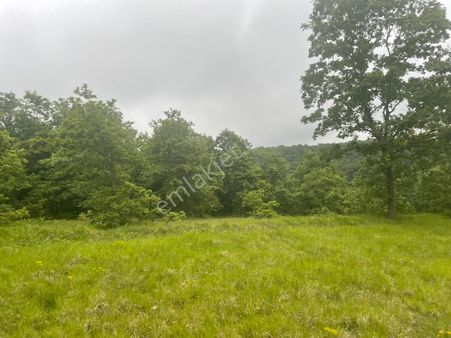 Derince Tahtalı Mah. 13.557 M² Satılık Tarla