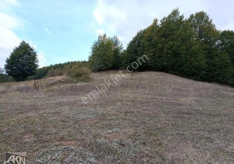 Akn Gayrimenkulden Satılık Tarla