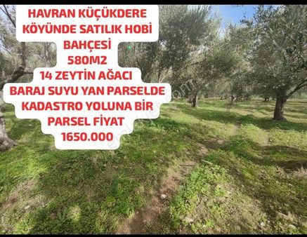 Havran Küçükdere Köyü Ana Asfalta Yakın Satılık Hobi Bahçesi