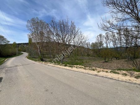 Keles Sorgun'da Köyün Dibinde Tek Tapu Dümdüz Arazi