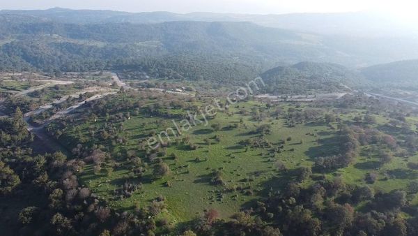 Çanakkale Ayvacık Paşaköy Deniz Manzaralı Yolu Olan 5001 M2 Arsa