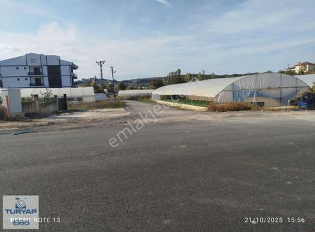 Yalova Kadıköy'de Fırsat Arsa