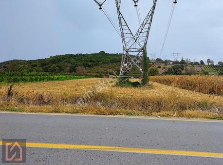 Yılmaz Mega'dan Yağbasanda Anayola Cepheli 2746 M2 Tarla