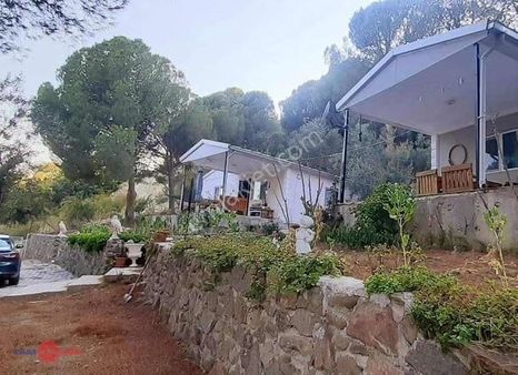 Dikili Kıroba Köyünde Satılık Zeytinlik Prefabrik Evli Mülk