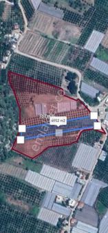 Köy İçinde Ev Yapılabilir Bahce