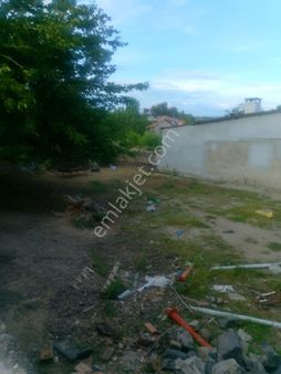 Manisa Salihli Poyraz Sat Zetinlik Ve Tarla