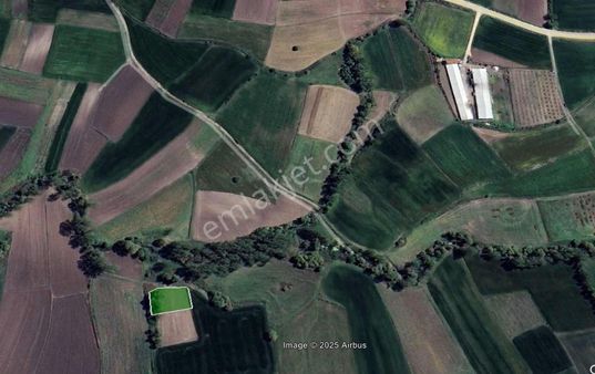 Dialog Piramitden Balıkesir Kamçılıda Fırsat Tarla