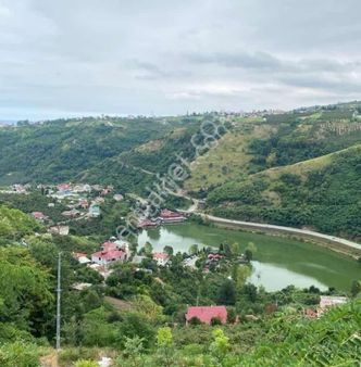 Doğanın Kalbinde, Göl Ve Yeşil Manzaralı Kaçırılmayacak Arsa Fırsatı