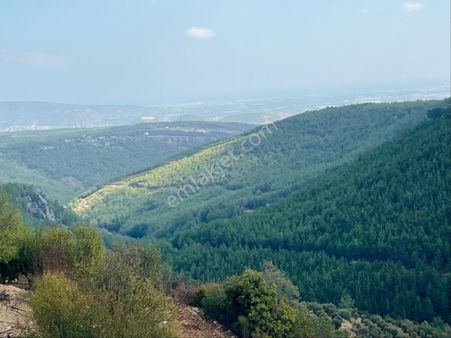 Türe Gayrimenkulden Silifke Çadırlıda Satılık Doğa Ve Şehir Manzaralı Arsa