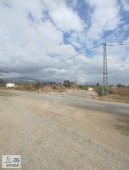 Evren De İçerisinde Zeytin Ağacı Mevcut 707m2 Arsa Satılık