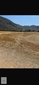 Karakuyuda Yol Üstü Acil Satılık Tarla