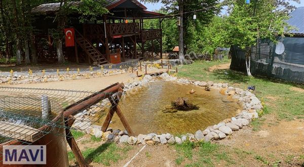 Remax Mavi Cengiz Özdemir'den Alabalık Tesisi