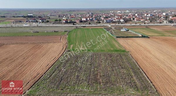 Kırklareli Kavaklı Asfalt Boyu Harika Konum 3650m2 İmarlı Arsa